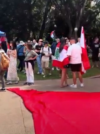 Screen grabs from a video showing the crowd starting to build at the Pro-Palestinian protest in Hyde Park Sydney today. Picture: Supplied