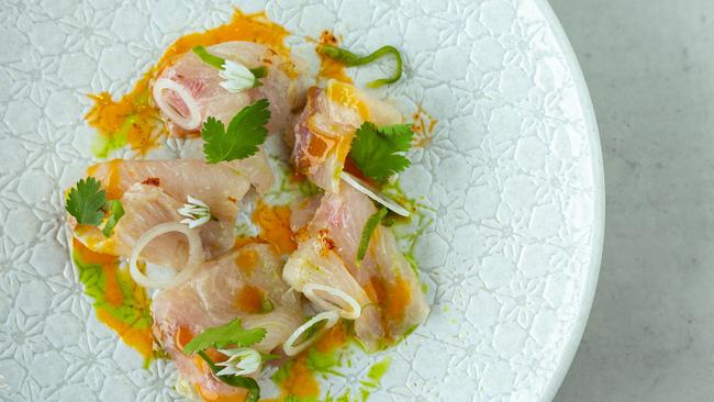 The Kingfish ceviche.