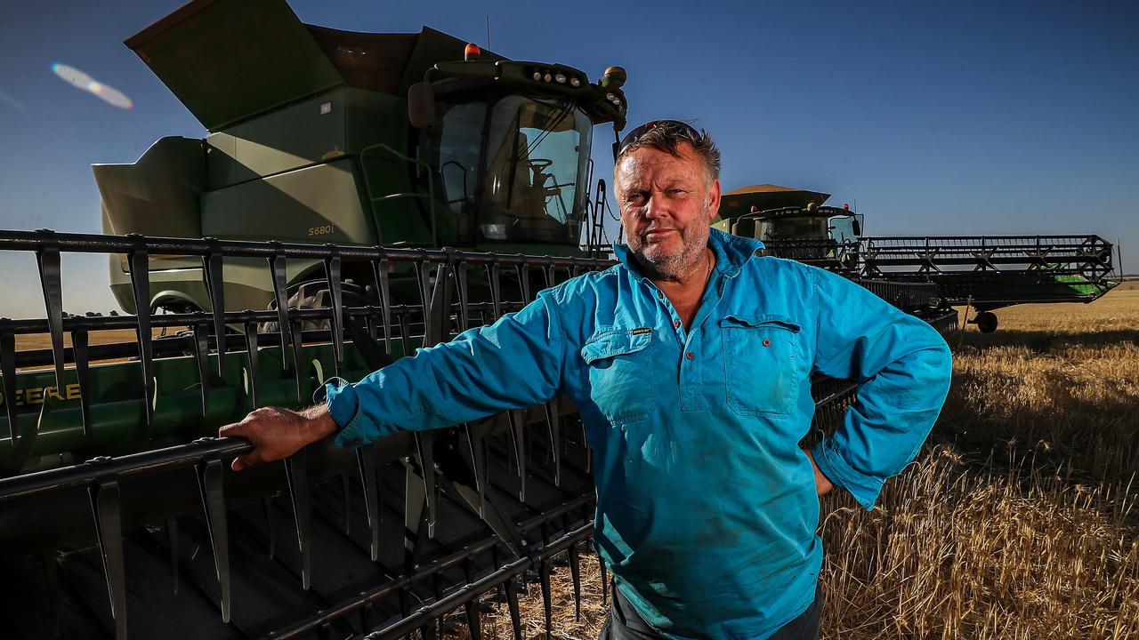 Former cricketer Brad Hogg named the ambassador for Grain Producers ...