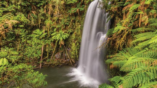 Beauchamp Falls is one of Victoria’s ‘aquatic Instagram hotpots’. Picture: Anthony Car