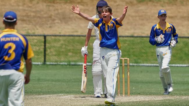 Craig Shield: Ormond bowler Rory Wright appeals. Picture: Valeriu Campan