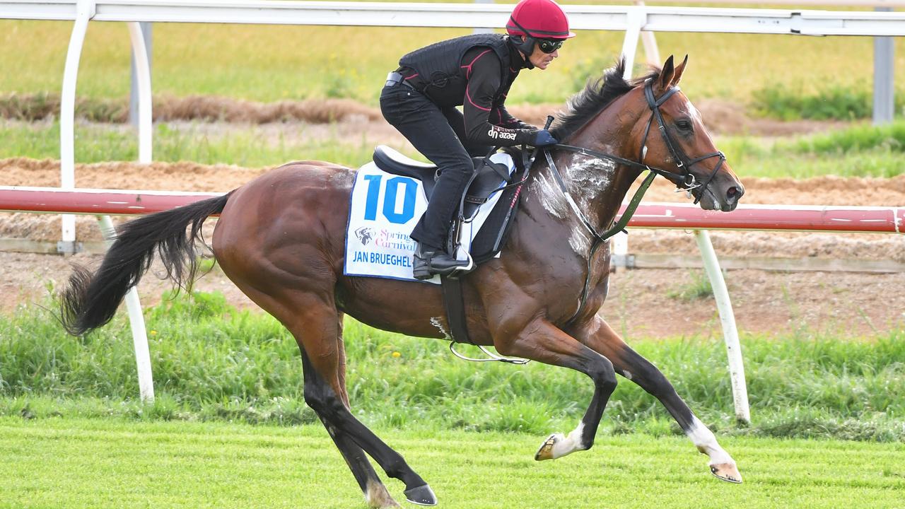 Via Sistina a third acceptor for the 2024 Melbourne Cup