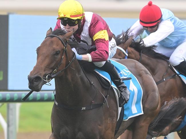 Arabian Summer puts herself in Magic Millions contention by winning the Gold Pearl at the Gold Coast for jockey Harry Coffey. Picture: Grant Peters - Trackside Photography