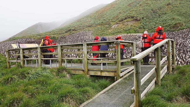 After: the same viewing platform last year. Picture: supplied