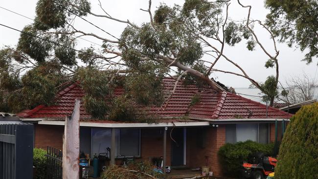 A damaged house on Victoria Rd in Lilydale after strong winds brought a tree down. Picture: NCA NewsWire/David Crosling