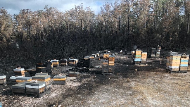 Burnt bee hives owned by Miellerie Honey. Picture: SAM THOMPSON