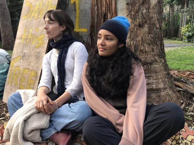 India Schiller (left) of Careel Bay, and Aina Ibrahim, of Cromer, sit at the base of one of the trees identified for removal. Picture: Jim O’Rourke