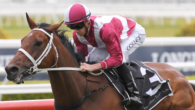 Arcadia Queen has impressed new trainer Chris Waller since arriving from WA. Picture: AAP