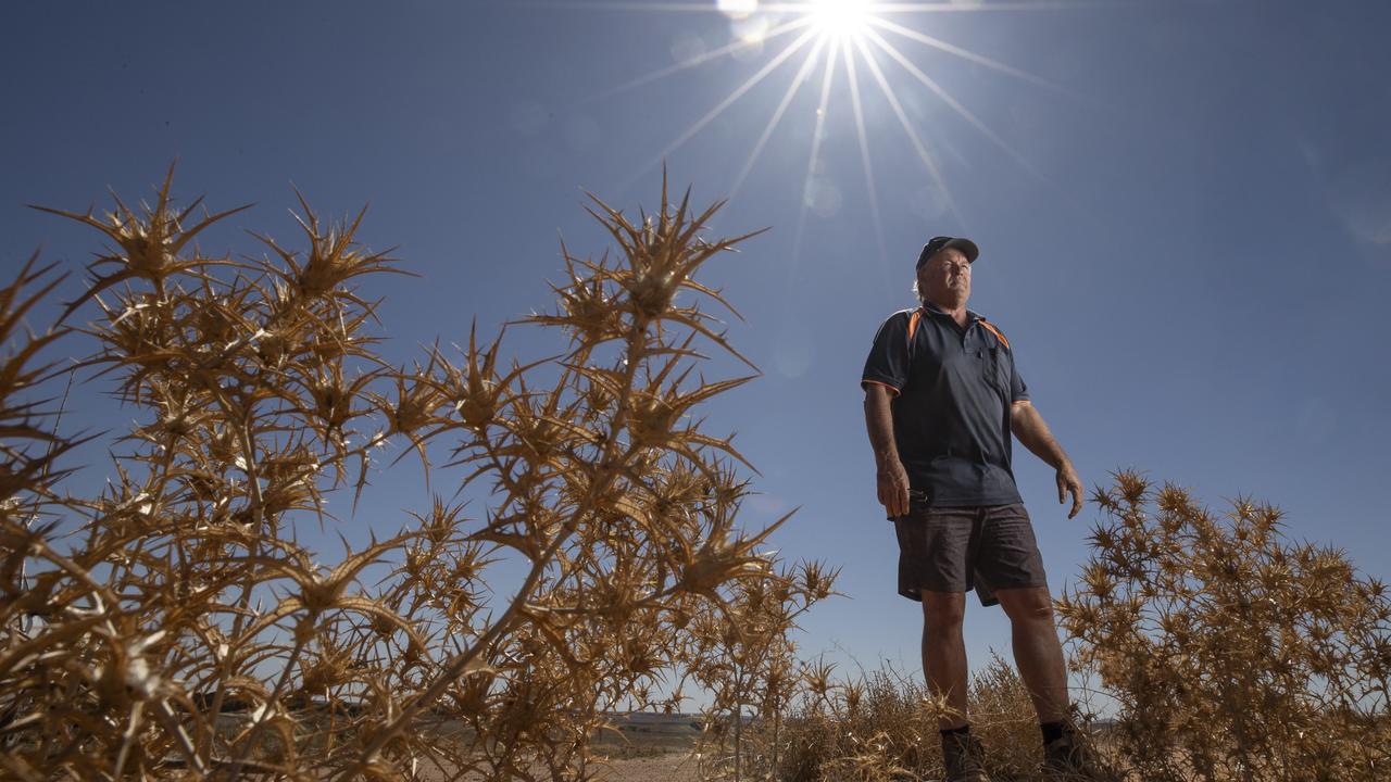 Farmer Peter Woolford at Buckleboo near Kimba, Eyre Peninsula. Picture: Brett Hartwig