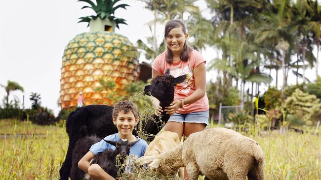 Riley and Neve with the Big Pineapple. Picture: Megan Slade