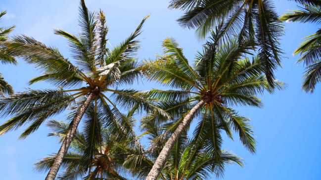 A beautiful hot day in Palm Cove