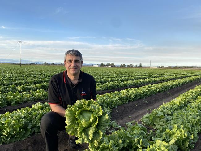 Matt Hood from Rugby Farm explained it was a great way to ensure the affected crops ‘don’t go to waste’. Picture: Supplied