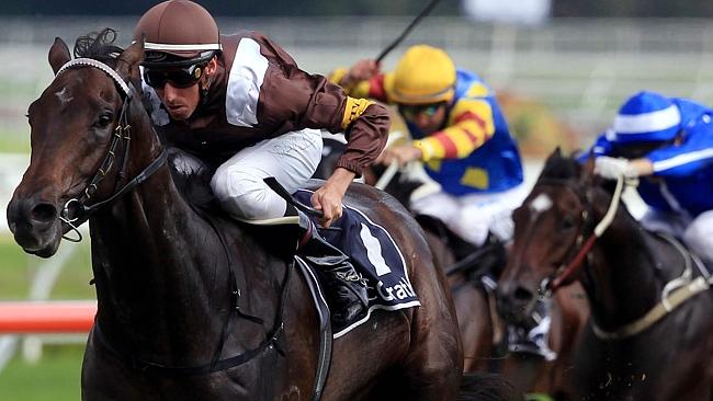 Comeback galloper Landing was brave in defeat first-up after a long time out, and is ready to win at Rosehill Gardens.