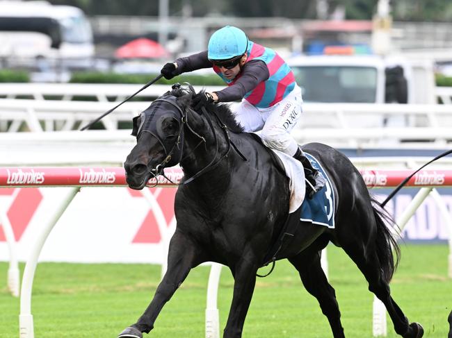 Vlad Duric powers to victory aboard Antino for trainer Tony Gollan in the Group 2 Victory Stakes at Eagle Farm. Picture: Grant Peters - Trackside Photography.