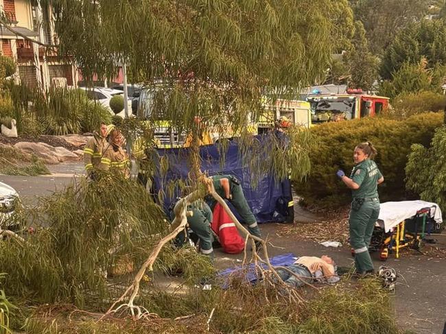 Marilyn and John Fuss were hospitalised after being hit by a falling tree branch outside their Aberfoyle Park home. Picture: Facebook