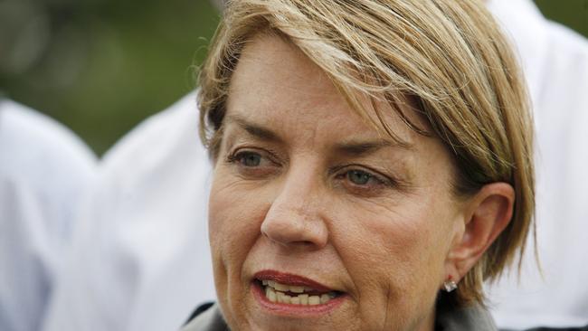 Former Queensland Premier Anna Bligh.