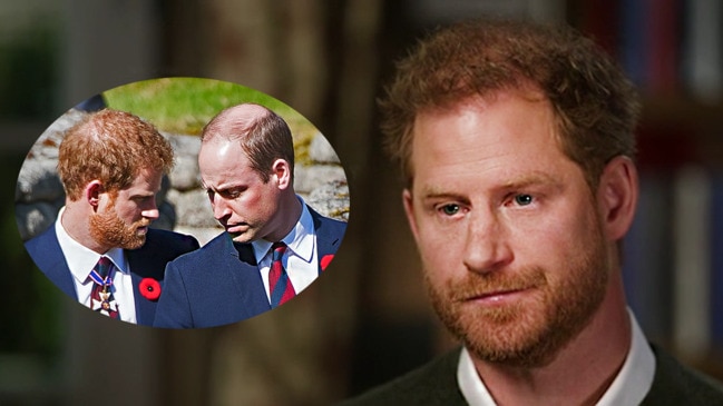 ‘He snapped’: Prince Harry reveals shocking physical altercation with Prince William