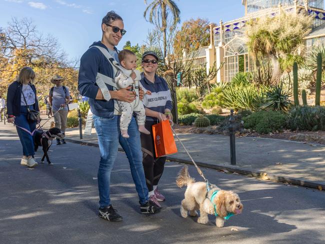 RSPCA SA's Million Paws Walk in Adelaide on May 25, 2025. Picture: Ben Clark