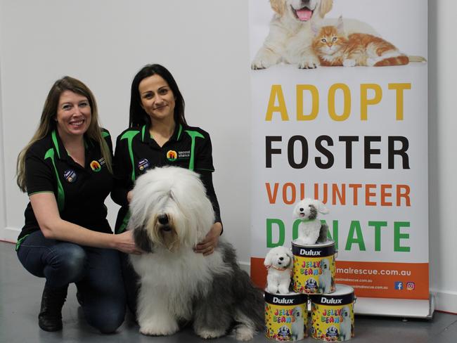 Second Chance Animal Rescue founder Marisa Debattista and Project Manager Sarah Kilalea with the iconic Dulux Dog during Open Day festivities.