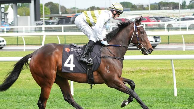 Skybird is in the field for Saturday’s Group 1 Black Caviar Lightning Stakes but may bypass the race in favour of the Oakleigh Plate. Picture: Scott Barbour / Racing Photos