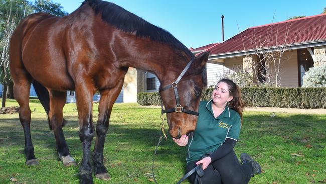 Danielle Muskett with champion racehorse Chief De Beers. Picture: Tony Gough