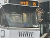 ‘Tone deaf’: Unbelievable ad appears on buses
