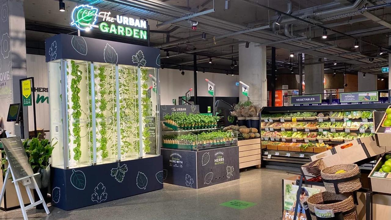 The Urban Garden is a new feature popping up across some stores which grows fresh herbs in store. Picture: Supplied