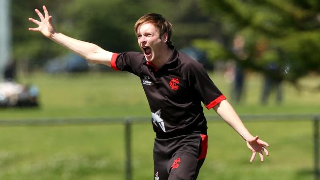 Liam Bowe appeals for a wicket. Picture: Hamish Blair