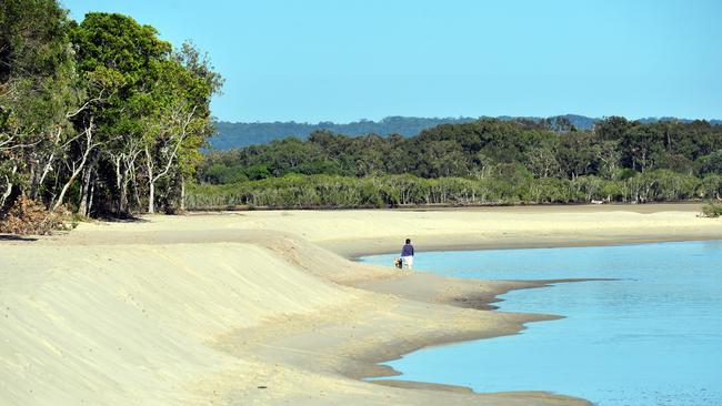 Noosa Dog Beach at the Spit. Photo Geoff Potter / Noosa News.