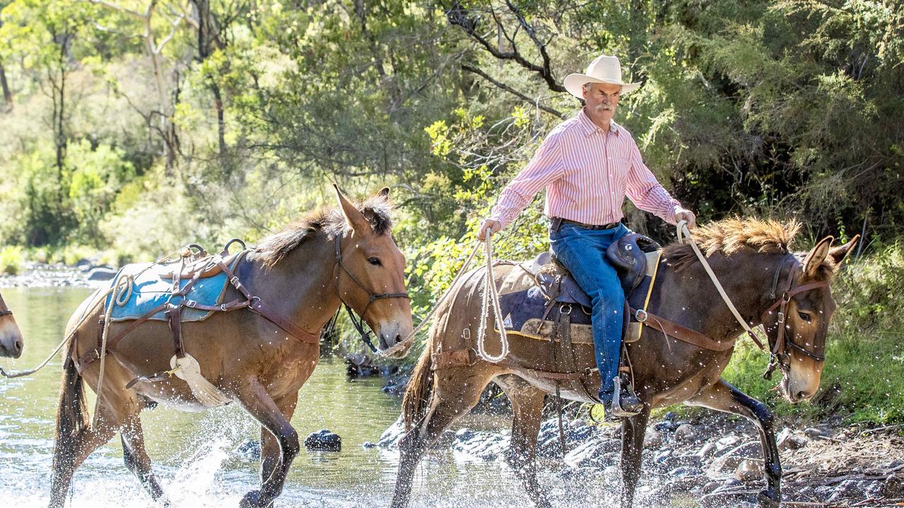 Meet the horseman who’s a mule-training expert