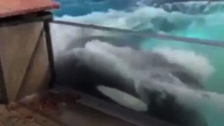 The footage was clearly upsetting for onlookers to watch. Picture: walruswhisperer/Twitter