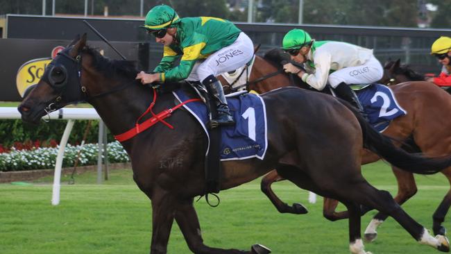 Mr Gee has trialled well heading into Saturday's race at Randwick. Picture: Grant Guy