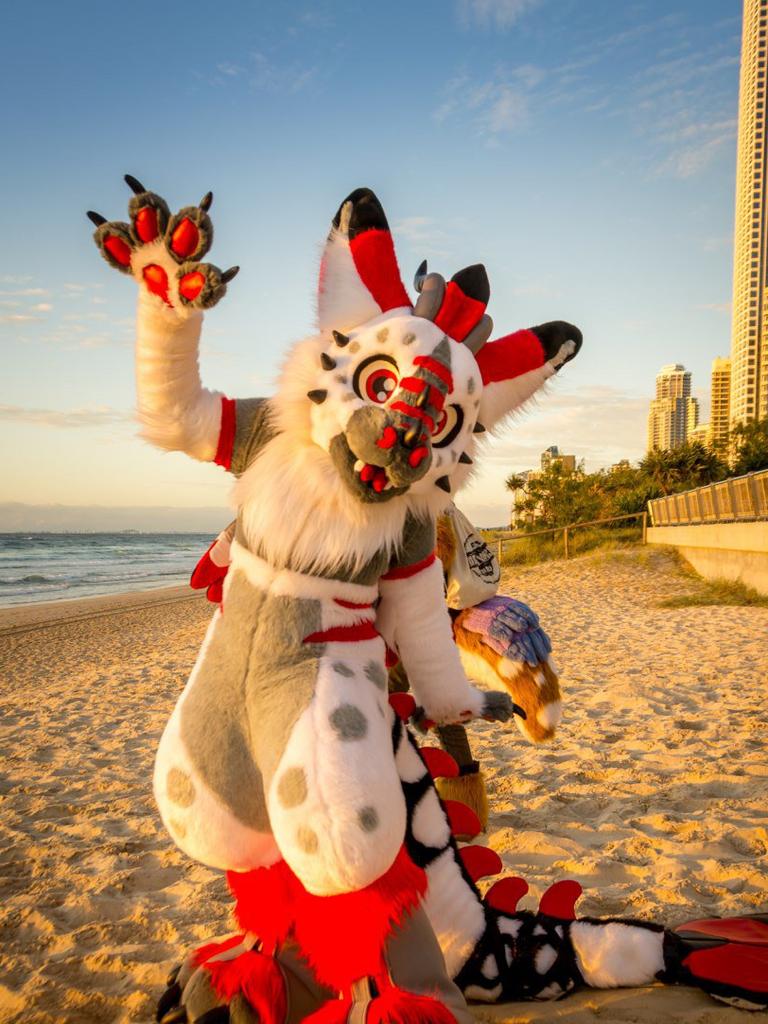 Furries: Furry fandom takes over Surfers Paradise for convention | Gold