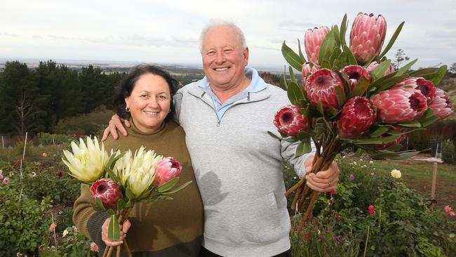 Anna Sfyris and her partner Ray Qoon, at their flower farm 302 Flowers, will be using the Australian grown bands in future. Picture: Yuri Kouzmin