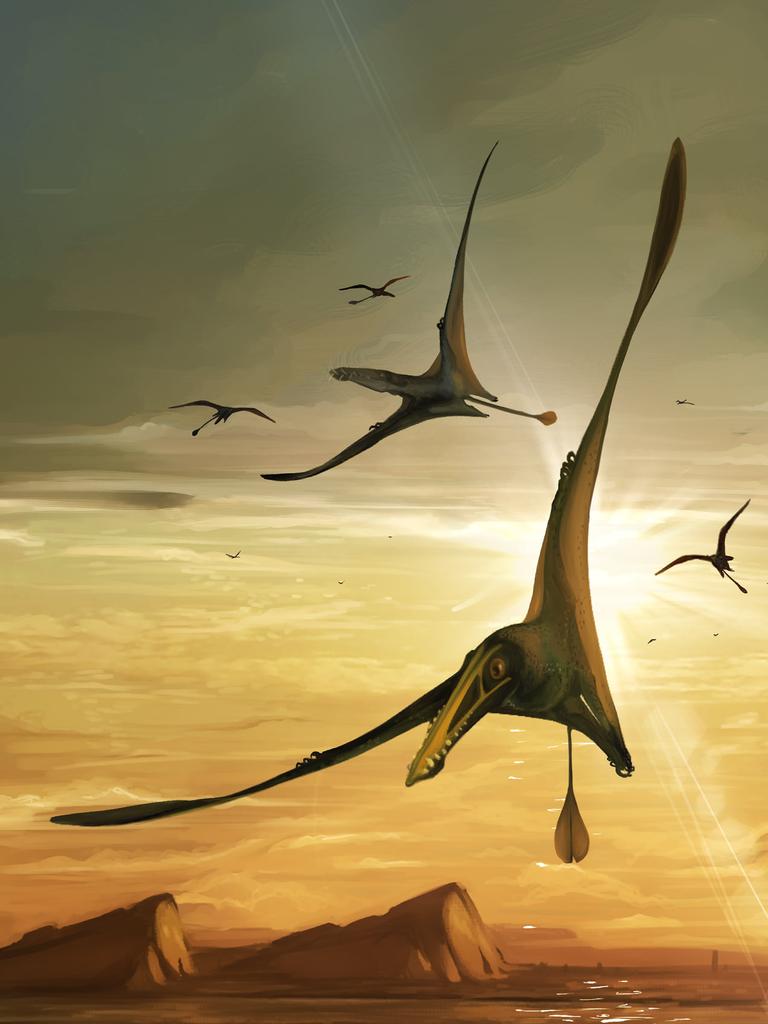 pterosaur fossil found by National Museums Scotland on the Isle of Skye - artist's impression Natalia Jagielska.