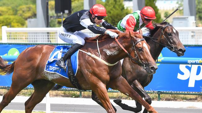 Trainer Grahame Begg is confident Royal Insignia will be back to his best in the Group 1 Australian Guineas on Saturday. Picture: Racing Photos via Getty Images