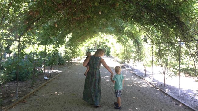 Take a stroll through the Botanic Gardens. Picture: Rob Jung