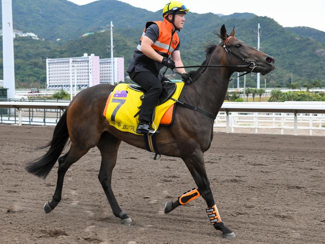 Camera Swan and In Her Time take part in a trackwork session. Pictures: AAP