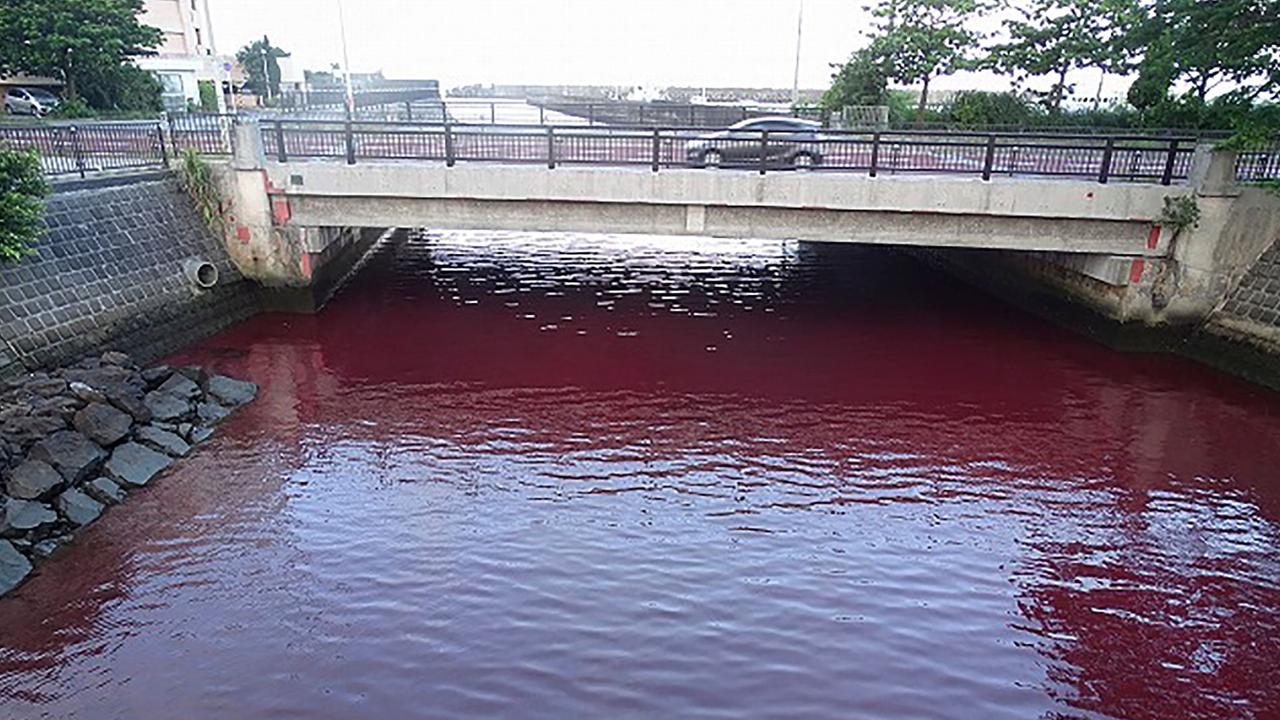 A port in Nago, Okinawa in Japan known for its clear waters turned into a gruesome shade of red after a beer factory leak. Picture: AFP