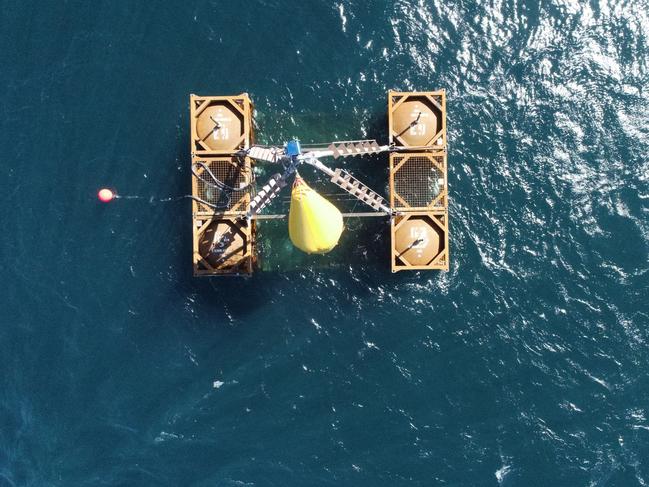 An artificial reef off Wollongong.