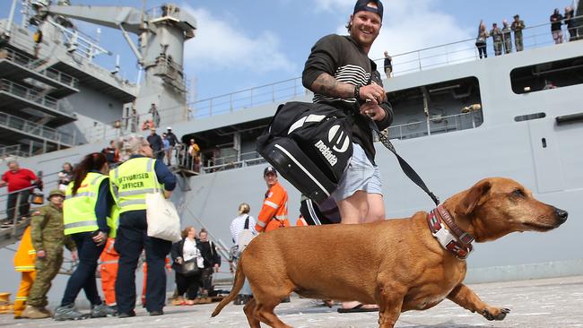 All creatures great and small were transported from Mallacoota. Picture: Ian Currie