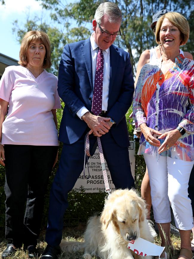 NSW Opposition Leader Michael Daley was making a teaching announcement when a golden retriever ripped up a Labor poster. Picture: Toby Zerna