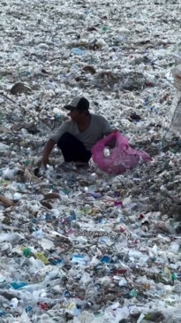 Bali beach found completely covered in plastic