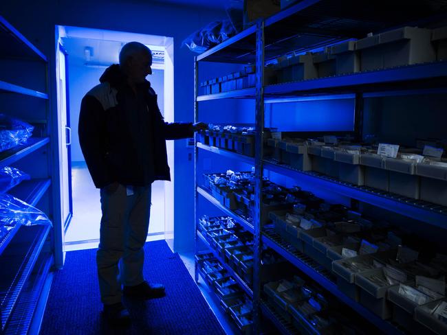 Inside the seed vault at PlantBank, which helps protect Australia’s precious 25,000 native plant species from the threats of extinction. Picture: The Australian PlantBank.