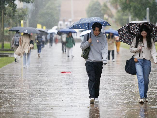 SYDNEY, AUSTRALIA - NewsWire Photos  SEPTEMBER 26, 2024: Students on campus at University of NSW in Kensington as consistent Rain drenches Sydney. Picture: NewsWire / John Appleyard