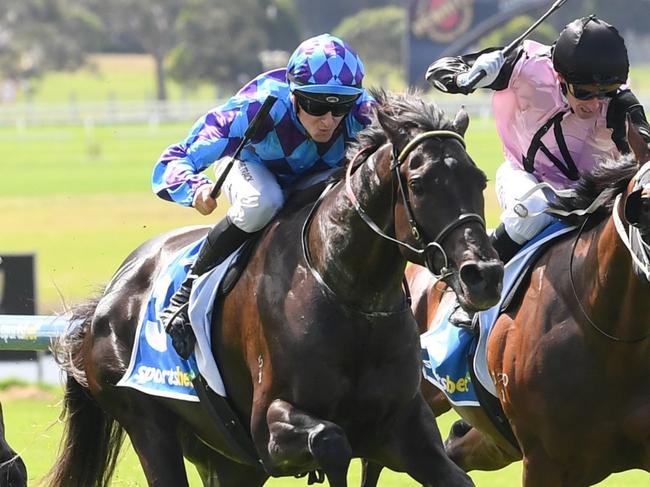 The Muffin Man ridden by Ethan Brown wins the Sportsbet Racing Form Plate at Sportsbet Sandown Hillside Racecourse on March 19, 2025 in Springvale, Australia. (Photo by Brett Holburt/Racing Photos via Getty Images)
