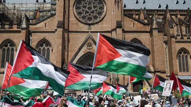 Protesters are seen during a Pro-Palestine demonstration at Hyde Park in Sydney on December 23. Picture: NCA NewsWire / Flavio Brancaleone