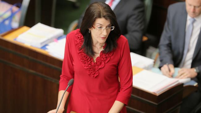 Human Services Minister Jacquie Petrusma said children were removed from Safe Pathways’ care because of media scrutiny. Picture: RICHARD JUPE