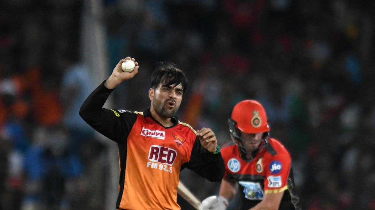 Rashid Khan will get more opportunities to celebrate taking the wicket of AB Devilliers — pictured here doing so in the IPL — when they take each other on again in the Big Bash League