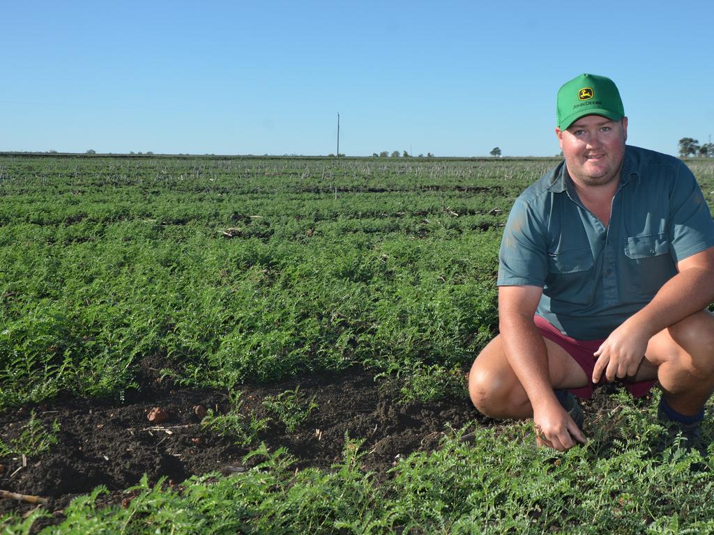 Tim Gersbach farms nearly 4,000ha of land with his wife Courtney and young children near Capella. Photo Emma Boughen / Central Queensland News
